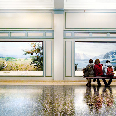 Museo di Storia Naturale New York